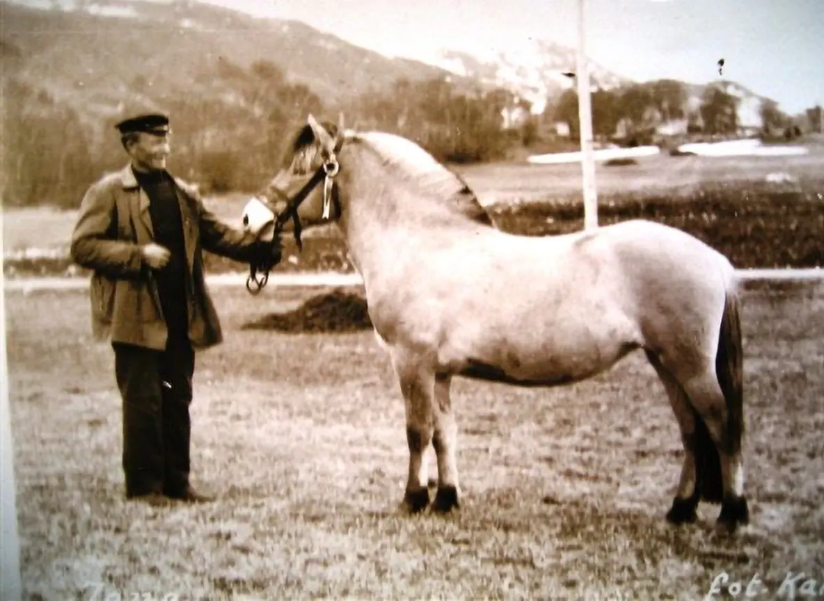 Skadet og falmet bilde av en mann og en hest.